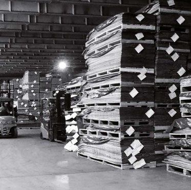 shoe department warehouse